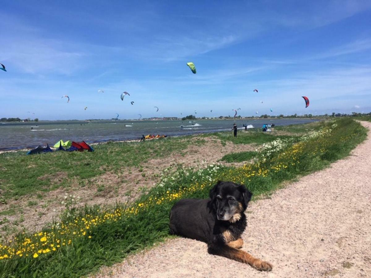 Zur Muehle Lemkenhafen Auf Fehmarn Apartment Luaran gambar